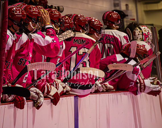 2025 Pink In The Rink- AA (3 of 29)