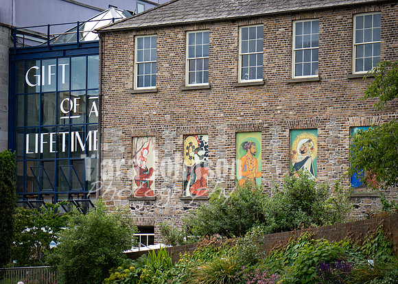 Dublin Castle - The Garden (5 of 36)