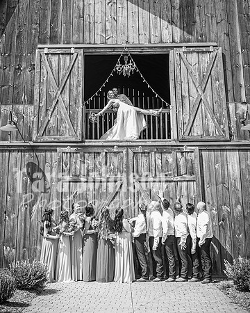 Doug & Bridget Law - Complete - BW - TJP (151 of 551)