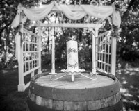 Tim & Corrissa - Complete - BW - TJP (7 of 585)