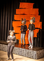 OVMS Theatre - Lion King - Saturday Matinee - TJP (8 of 637)