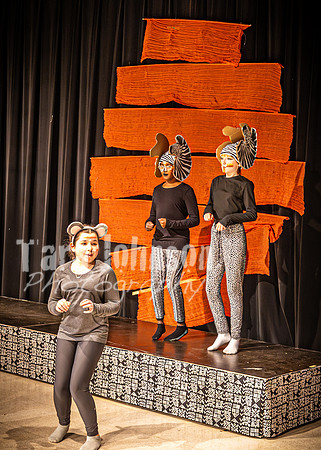 OVMS Theatre - Lion King - Saturday Matinee - TJP (8 of 637)