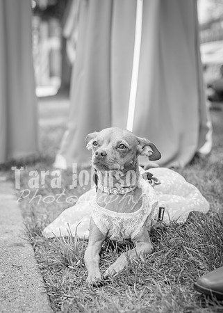 24 M. & K. Eaton Wedding [Full Collection B&W] - DH (48 of 352)