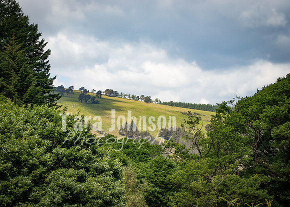 Glendalough Field Trip (72 of 117)