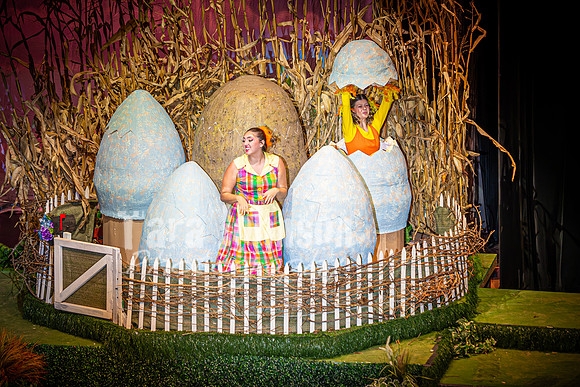 2024 MTC - Honk - Matinee - TJP (70 of 856)