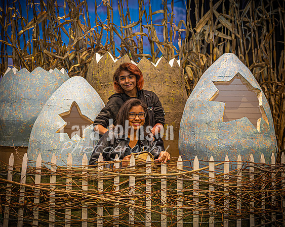 2024 MTC - Honk - Candids - TJP (64 of 127)
