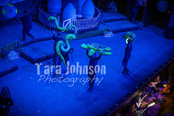 2024 MTC - Honk - Final Show (Saturday) - TJP (242 of 1152)