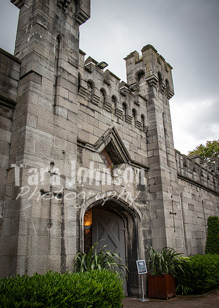 Dublin Castle - The Garden (28 of 36)