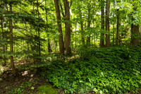 Homestead - 9073 Tartan Drive (8 MB max)- TJP (11 of 52)