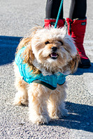 MLK Dog - TJP (5 of 11)