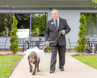 Josh & Deanna Klann Wedding - Allison Richards (1 of 40)