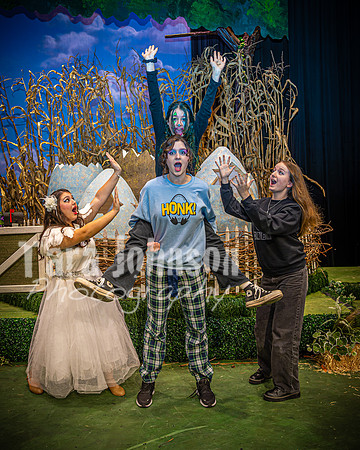 2024 MTC - Honk - Candids - TJP (84 of 127)