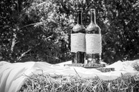 Tim & Corrissa - Complete - BW - TJP (12 of 585)