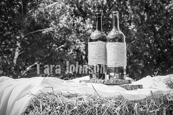 Tim & Corrissa - Complete - BW - TJP (12 of 585)