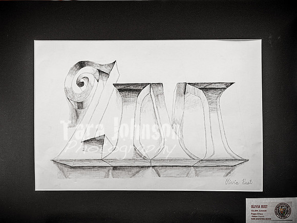 2025 OLSM Art Show - Art Selections - TJP (49 of 237)
