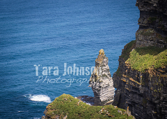 Cliffs of Moher Trip (40 of 96)