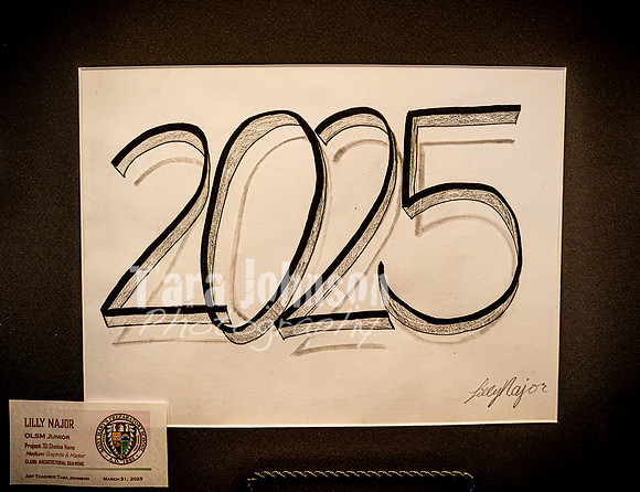2025 OLSM Art Show - Art Selections - TJP (40 of 237)