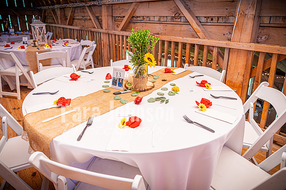 Dayton & Audrey Briggs - Venue - TJP (9 of 45)