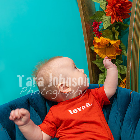 Teddy Briggs (and Abigail) - Color - TJP (69 of 78)