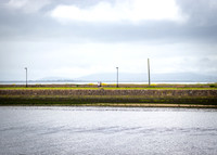 Galway Day Trip - Waterfront View (18 of 104)
