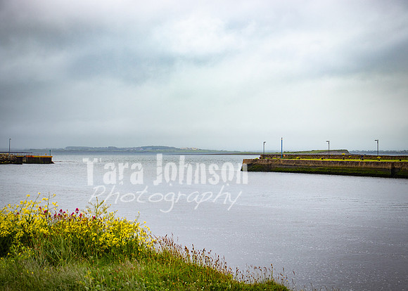 Galway Day Trip - Waterfront View (3 of 104)