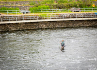Galway Day Trip - Riverside Walk (5 of 57)
