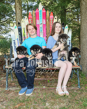 Bryde Family & Finish Lapphund Pups - TJP (29 of 60)