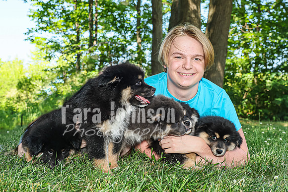 Bryde Family & Finish Lapphund Pups - TJP (44 of 60)