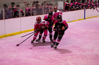 2025 Pink in the Rink - EL (9 of 15)