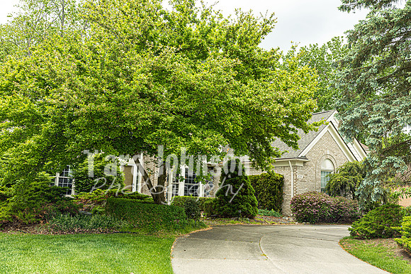 Homestead - 6739 Kingsmill (8MB max) - TJP (4 of 84)