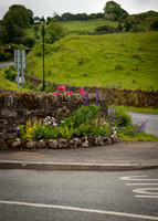 Glendalough Field Trip (16 of 117)