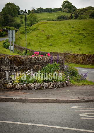 Glendalough Field Trip (16 of 117)