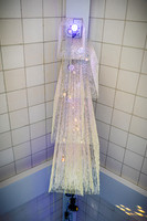 2025 U of D Prom - The Tail - TJP (10 of 53)