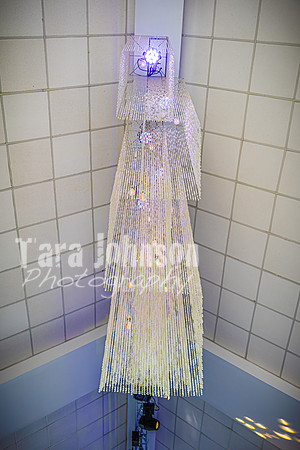 2025 U of D Prom - The Tail - TJP (10 of 53)