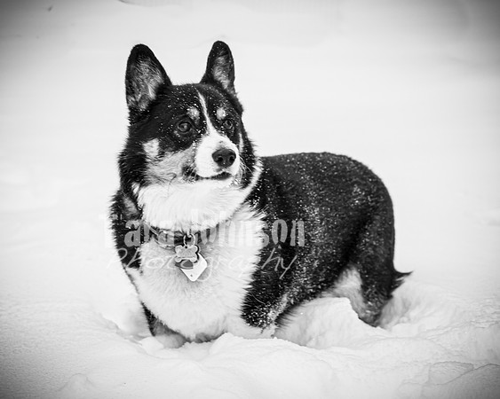 Scott & Tara - BW - TJP (10 of 20)