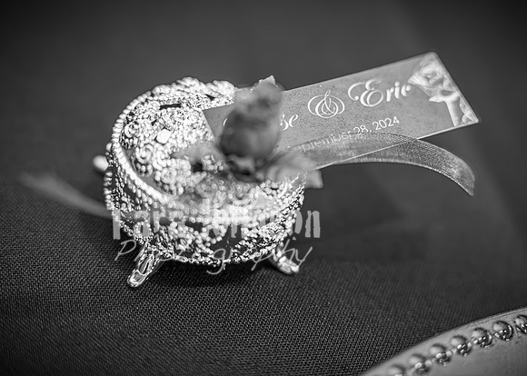 Eric & Elyse -Complete - BW - TJP (7 of 731)
