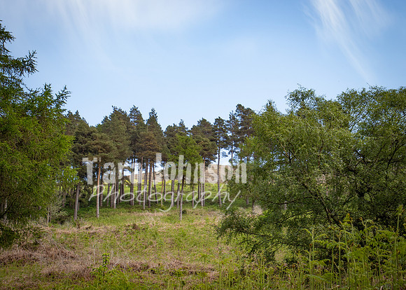 Glendalough Field Trip (70 of 117)