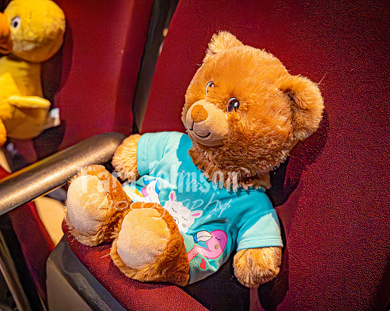 25 MTC - VIP - Candids - TJP (42 of 130)