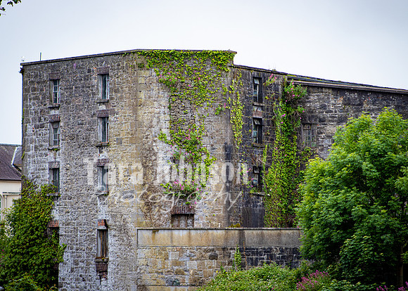 Galway Day Trip - Riverside Walk (31 of 57)