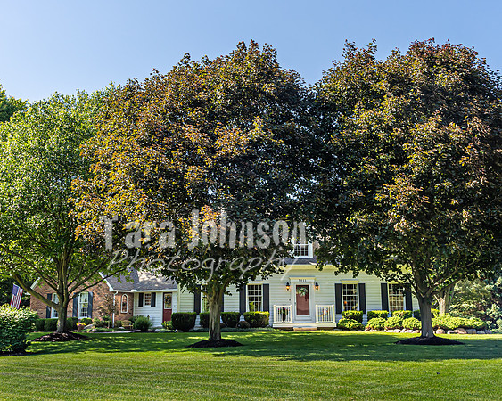 Homestead - 7011 Cedar Creek (8GB max) - TJP (19 of 109)