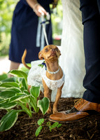 24 M. & K. Eaton Wedding [Full Collection] - DH (9 of 352)