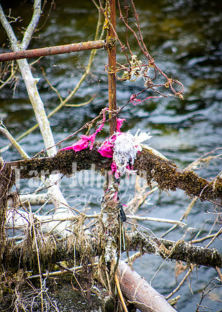 Galway Day Trip - Riverside Walk (30 of 57)