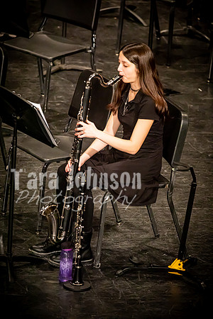 22 WLMS - March Madness 3-2 - TJP (69 of 264)