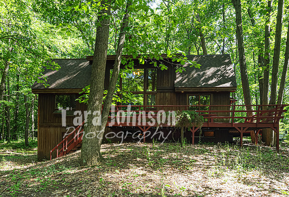 Homestead - 3415 W. Buno (8MB max)- TJP (3 of 60)