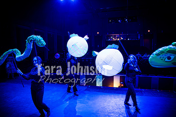 2024 MTC - Honk - R2 (Tuesday) - TJP (175 of 1192)