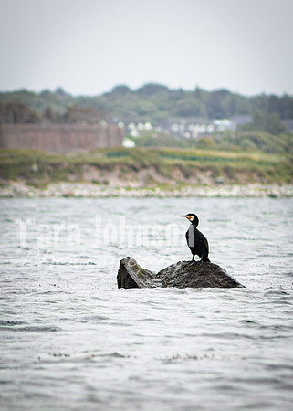 Galway Day Trip - Waterfront View (95 of 104)
