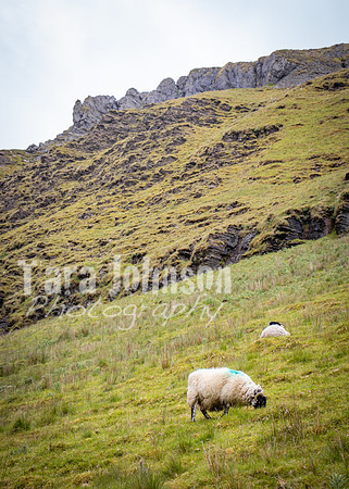 Benbulbin Mountain Trip (36 of 139)