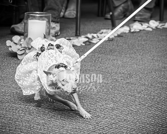 Mitch & Kelly - Complete - BW - TJP (179 of 731)