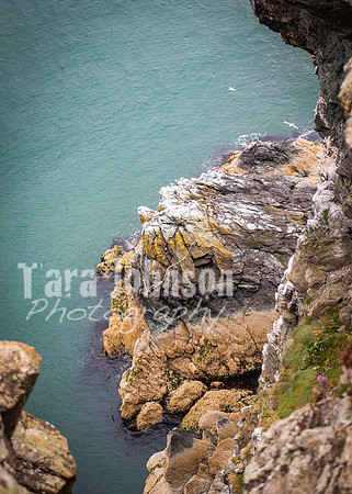 Howth Trip (33 of 55)
