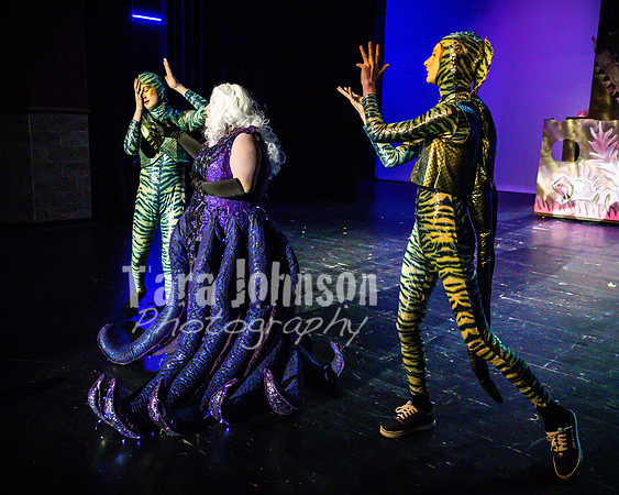 22 LHS Theater - Mermaid R2 - Act 1 - TJP (216 of 698)